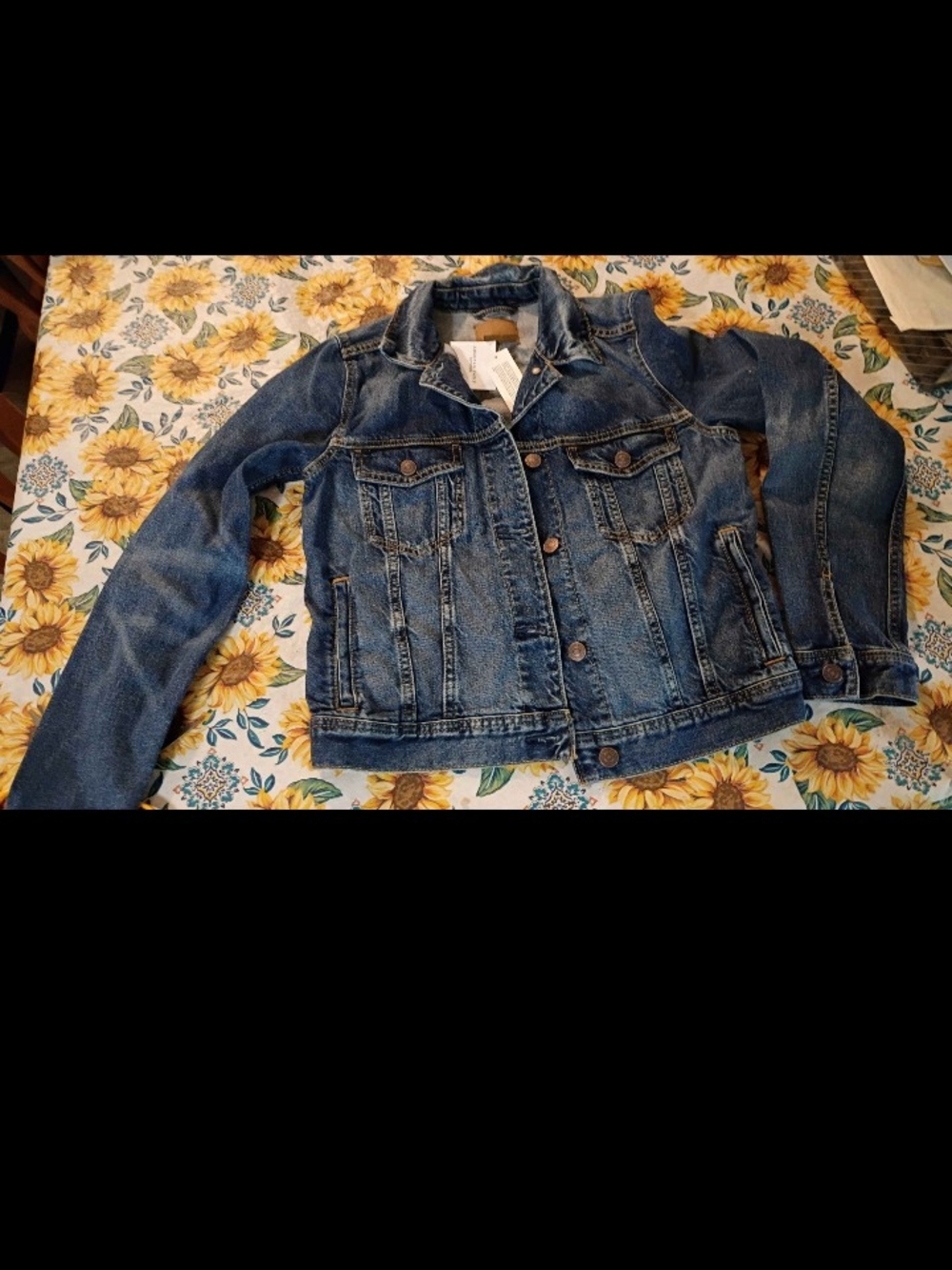 American Eagle Outfitters Distressed Blue Denim Jacket